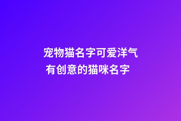 宠物猫名字可爱洋气 有创意的猫咪名字